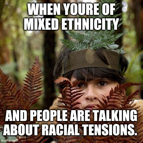 Racial Tensions | WHEN YOURE OF MIXED ETHNICITY; AND PEOPLE ARE TALKING ABOUT RACIAL TENSIONS. | image tagged in hiding ricky | made w/ Imgflip meme maker