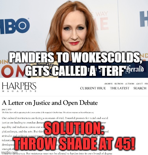 Curses come home to roost | PANDERS TO WOKESCOLDS, GETS CALLED A 'TERF'; SOLUTION: THROW SHADE AT 45! | image tagged in harry potter,jk rowling,author,donald trump,transphobic,woke | made w/ Imgflip meme maker
