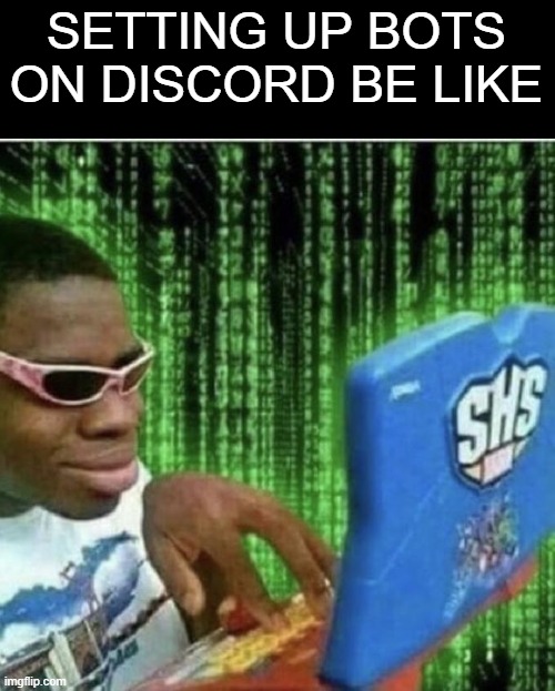 hackerman | SETTING UP BOTS ON DISCORD BE LIKE | image tagged in ryan beckford,discord | made w/ Imgflip meme maker