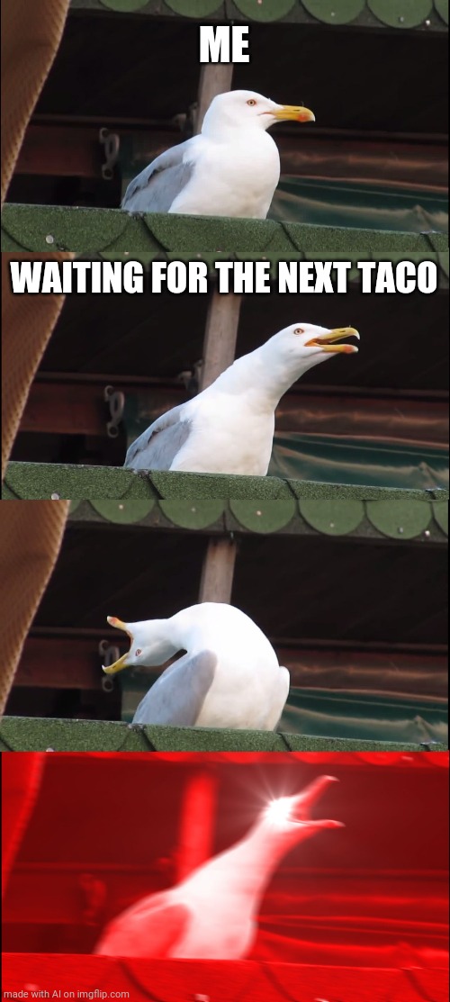 hangry | ME; WAITING FOR THE NEXT TACO | image tagged in memes,inhaling seagull,hangry | made w/ Imgflip meme maker