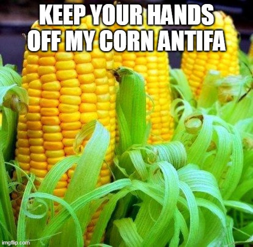 CORN meme | KEEP YOUR HANDS OFF MY CORN ANTIFA | image tagged in corn meme,memes | made w/ Imgflip meme maker
