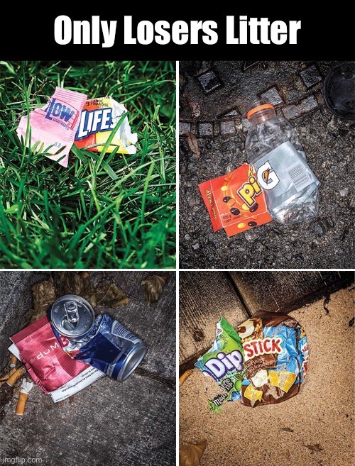 Give a Hoot, Don’t Pollute | image tagged in funny memes,littering | made w/ Imgflip meme maker