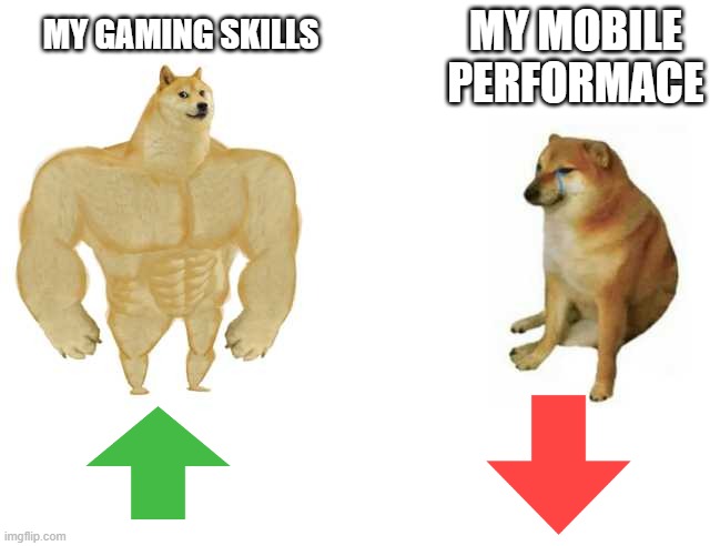 Buff Doge vs. Cheems | MY MOBILE PERFORMACE; MY GAMING SKILLS | image tagged in strong doge weak doge | made w/ Imgflip meme maker