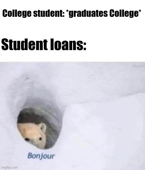 Warning For College Graduates: This Meme Maybe Too Relatable | College student: *graduates College*; Student loans: | image tagged in bonjour | made w/ Imgflip meme maker