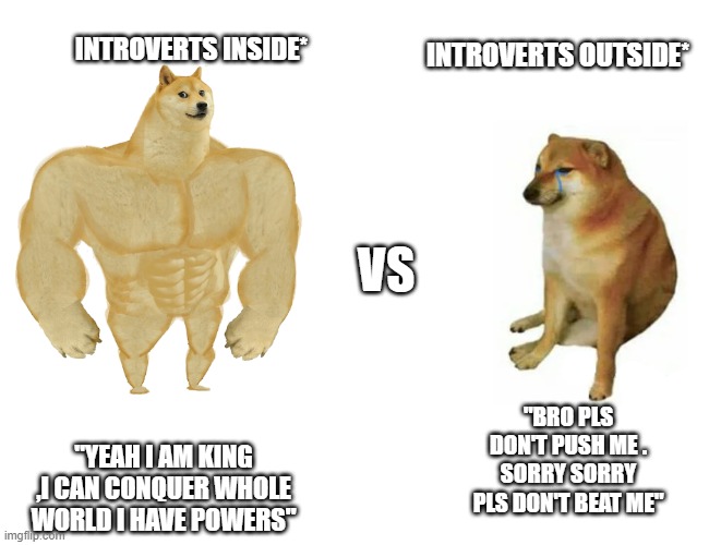 Buff Doge vs. Cheems | INTROVERTS OUTSIDE*; INTROVERTS INSIDE*; VS; "BRO PLS DON'T PUSH ME . SORRY SORRY PLS DON'T BEAT ME"; "YEAH I AM KING ,I CAN CONQUER WHOLE WORLD I HAVE POWERS" | image tagged in swole doge vs cheems | made w/ Imgflip meme maker