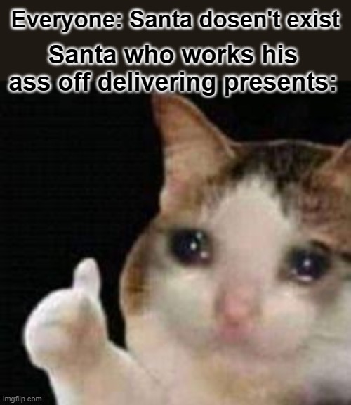 Approved crying cat | Everyone: Santa dosen't exist; Santa who works his ass off delivering presents: | image tagged in approved crying cat | made w/ Imgflip meme maker