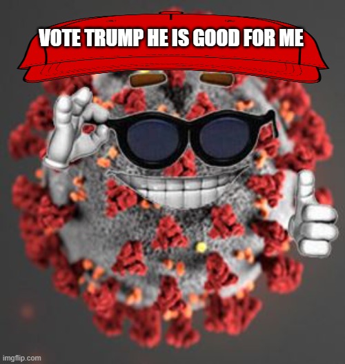 200,00o dead from a hoax, can we make it a million? | VOTE TRUMP HE IS GOOD FOR ME | image tagged in coronavirus,maga,memes,impeach trump,donald trump is an idiot,corruption | made w/ Imgflip meme maker