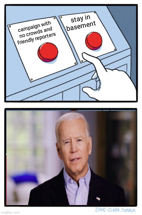 Two Buttons | stay in basement; campaign with no crowds and friendly reporters | image tagged in memes,two buttons | made w/ Imgflip meme maker