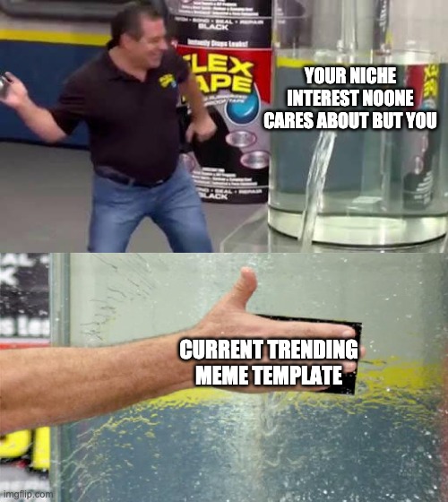 Flex Tape | YOUR NICHE INTEREST NOONE CARES ABOUT BUT YOU; CURRENT TRENDING MEME TEMPLATE | image tagged in flex tape | made w/ Imgflip meme maker