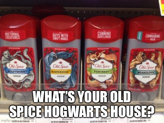 Image tagged in memes,funny,harry potter - Imgflip