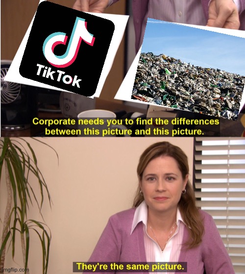 They're The Same Picture | image tagged in memes,they're the same picture,tik tok,yes,lol | made w/ Imgflip meme maker