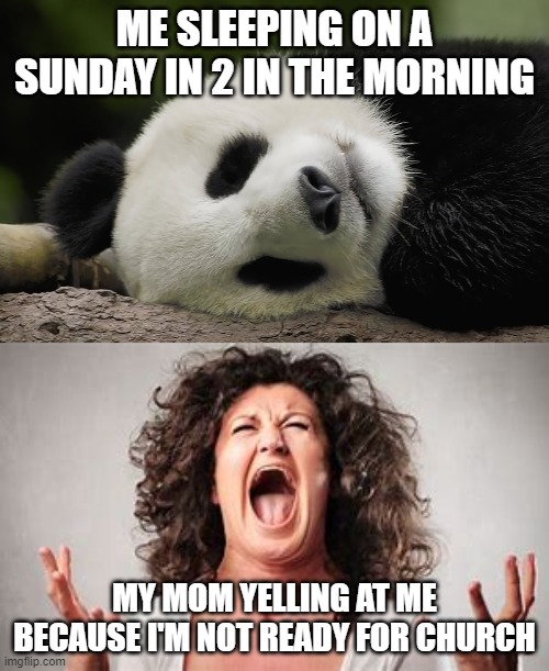 is this relatable?????????? | ME SLEEPING ON A SUNDAY IN 2 IN THE MORNING; MY MOM YELLING AT ME BECAUSE I'M NOT READY FOR CHURCH | image tagged in pandas,your mom | made w/ Imgflip meme maker