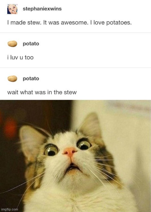image tagged in memes,scared cat,tumblr,potato | made w/ Imgflip meme maker