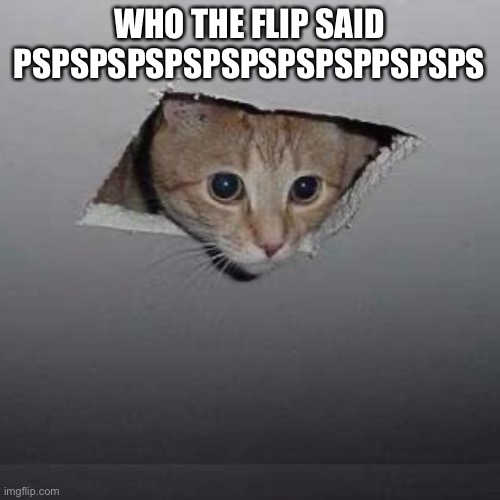 Ceiling Cat | WHO THE FLIP SAID PSPSPSPSPSPSPSPSPSPPSPSPS | image tagged in memes,ceiling cat | made w/ Imgflip meme maker