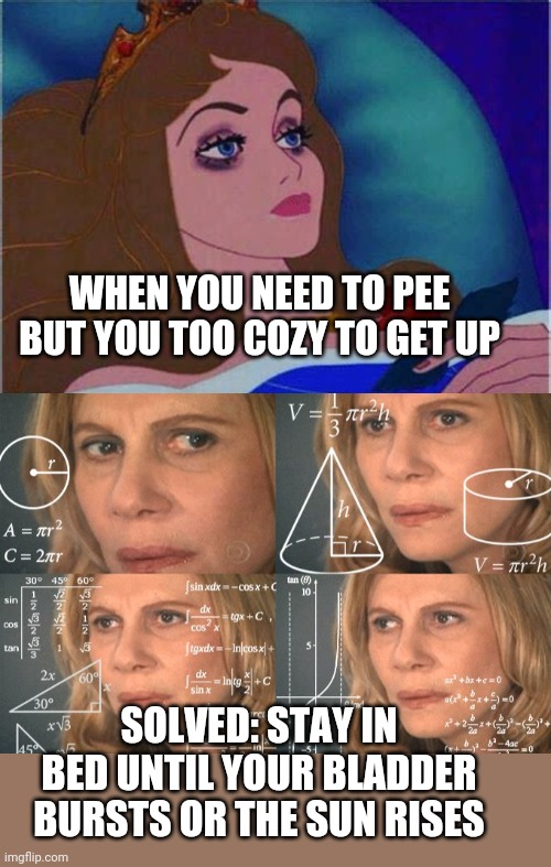 Need to pee | WHEN YOU NEED TO PEE BUT YOU TOO COZY TO GET UP; SOLVED: STAY IN BED UNTIL YOUR BLADDER BURSTS OR THE SUN RISES | image tagged in solving,pee,sunrise,sleep deprivation creations,sleep,bed | made w/ Imgflip meme maker