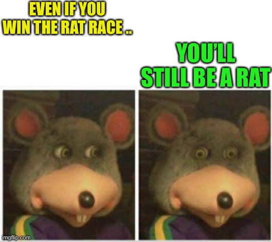 chuck e cheese rat stare | EVEN IF YOU WIN THE RAT RACE .. YOU’LL STILL BE A RAT | image tagged in chuck e cheese rat stare | made w/ Imgflip meme maker