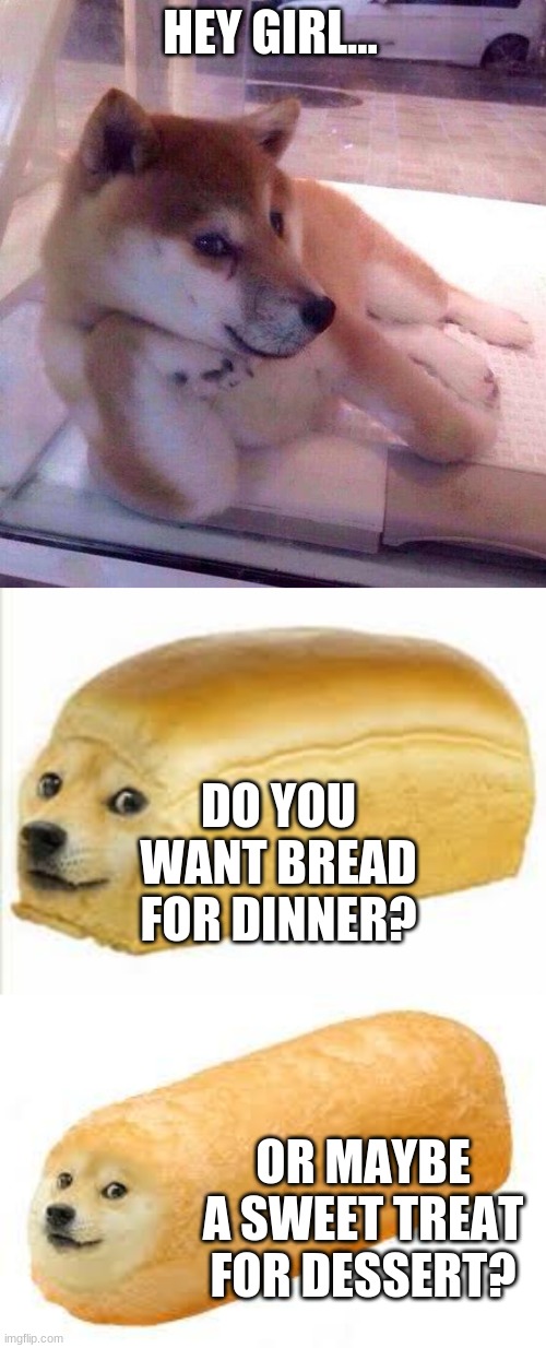 doooooge | HEY GIRL... DO YOU WANT BREAD FOR DINNER? OR MAYBE A SWEET TREAT FOR DESSERT? | image tagged in flirting doge,twinkie doge,doge bread | made w/ Imgflip meme maker