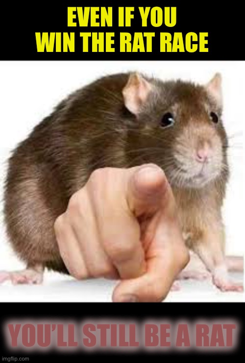 Pointing Rat | EVEN IF YOU WIN THE RAT RACE; YOU’LL STILL BE A RAT | image tagged in pointing rat,drones,slaves,working class,no win situation,modern problems | made w/ Imgflip meme maker