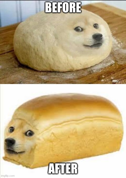  BEFORE; AFTER | image tagged in dough doge,doge bread | made w/ Imgflip meme maker