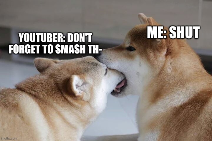 Stahp doge | ME: SHUT; YOUTUBER: DON'T FORGET TO SMASH TH- | image tagged in stahp doge | made w/ Imgflip meme maker