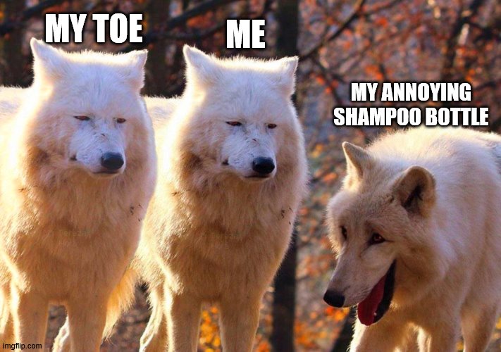 Grump Wolves | ME; MY TOE; MY ANNOYING SHAMPOO BOTTLE | image tagged in grump wolves | made w/ Imgflip meme maker