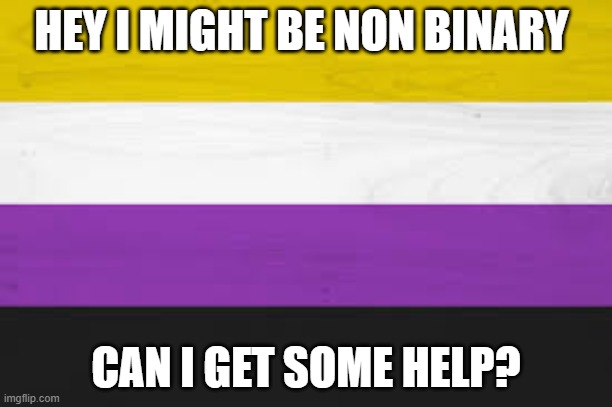 HEY I MIGHT BE NON BINARY; CAN I GET SOME HELP? | made w/ Imgflip meme maker