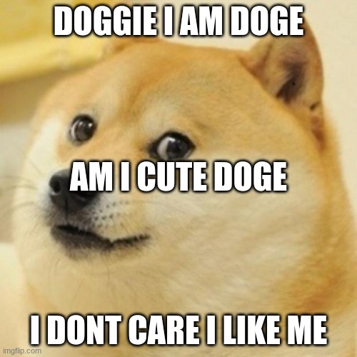 wow doge | DOGGIE I AM DOGE; AM I CUTE DOGE; I DONT CARE I LIKE ME | image tagged in wow doge | made w/ Imgflip meme maker