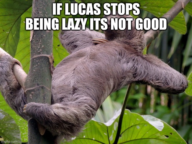 Lazy Sloth | IF LUCAS STOPS BEING LAZY ITS NOT GOOD | image tagged in lazy sloth | made w/ Imgflip meme maker