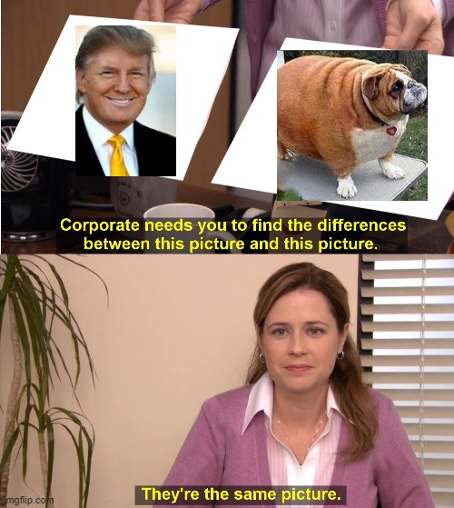 They're The Same Picture | image tagged in memes,they're the same picture | made w/ Imgflip meme maker