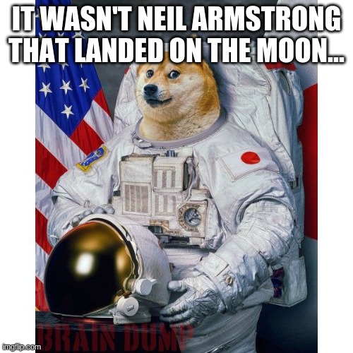 Doge Astronaut | IT WASN'T NEIL ARMSTRONG THAT LANDED ON THE MOON... | image tagged in doge astronaut | made w/ Imgflip meme maker