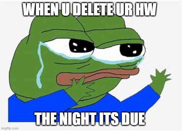 WHEN U DELETE UR HW; THE NIGHT ITS DUE | image tagged in sad pepe the frog | made w/ Imgflip meme maker