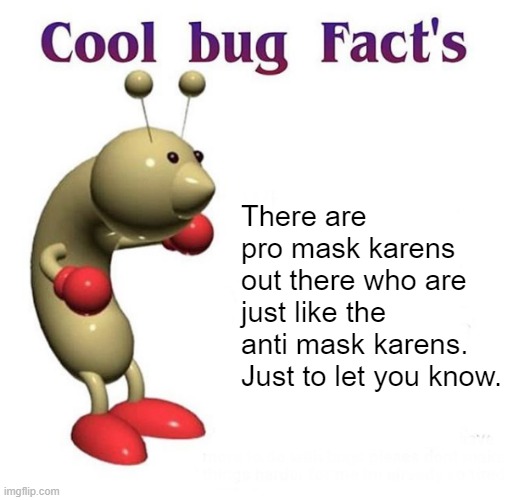 Some of them are among us | There are pro mask karens out there who are just like the anti mask karens. Just to let you know. | image tagged in cool bug facts api | made w/ Imgflip meme maker
