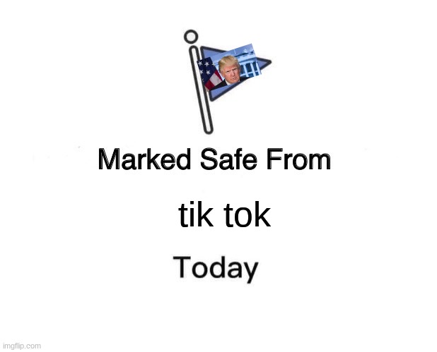 Marked Safe From | tik tok | image tagged in memes,donald trump,tiktok | made w/ Imgflip meme maker