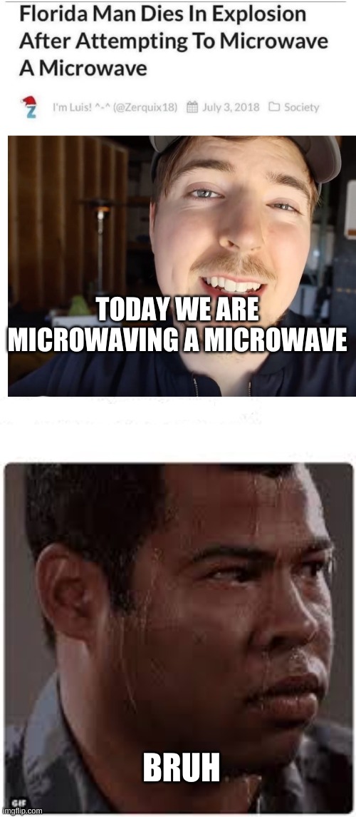 bruh | TODAY WE ARE MICROWAVING A MICROWAVE; BRUH | image tagged in funny memes | made w/ Imgflip meme maker