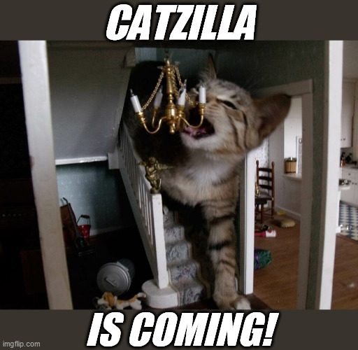 There were no survivors | CATZILLA; IS COMING! | image tagged in catzilla | made w/ Imgflip meme maker