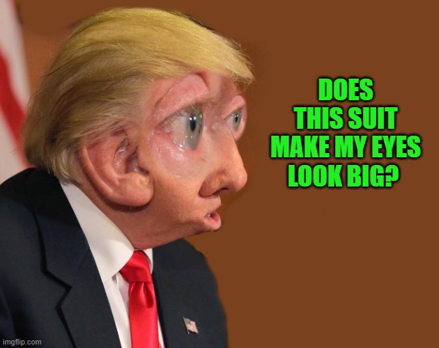 just being silly! | DOES THIS SUIT MAKE MY EYES LOOK BIG? | image tagged in donald trump,photoshop,silly,kewlew | made w/ Imgflip meme maker