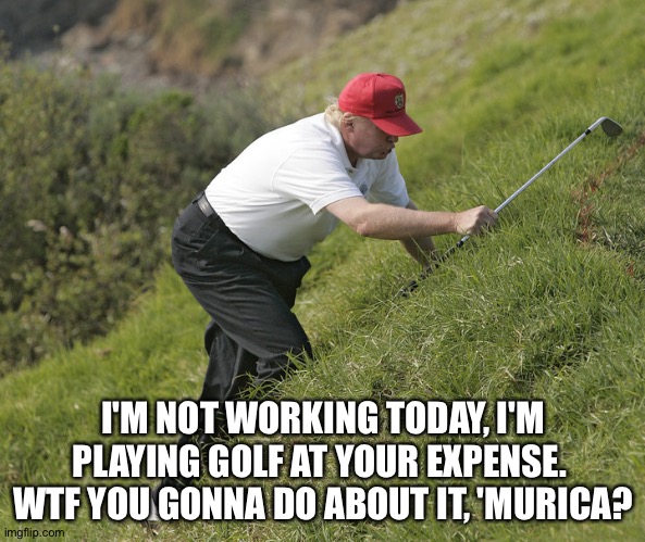trump golfing | I'M NOT WORKING TODAY, I'M PLAYING GOLF AT YOUR EXPENSE.  WTF YOU GONNA DO ABOUT IT, 'MURICA? | image tagged in trump golfing | made w/ Imgflip meme maker