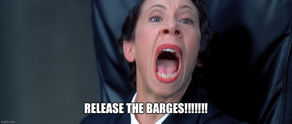 Austin powers barges | RELEASE THE BARGES!!!!!!! | image tagged in frau farbissina | made w/ Imgflip meme maker