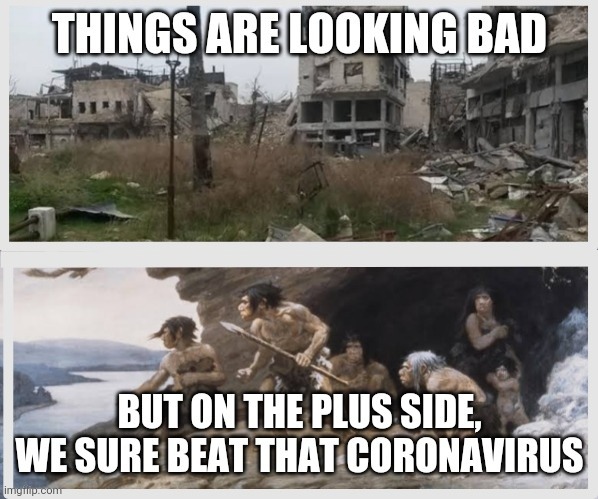 We Beat Covid | image tagged in coronavirus,covid-19,destruction,virus,coronavirus meme | made w/ Imgflip meme maker