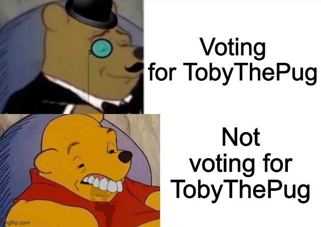Voting for TobyThePug Not voting for TobyThePug | image tagged in best better blurst | made w/ Imgflip meme maker