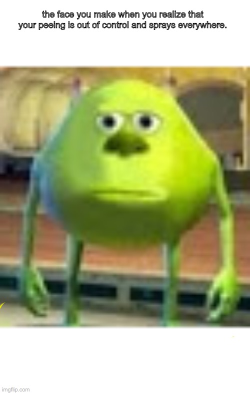 Sully Wazowski | the face you make when you realize that your peeing is out of control and sprays everywhere. | image tagged in sully wazowski | made w/ Imgflip meme maker