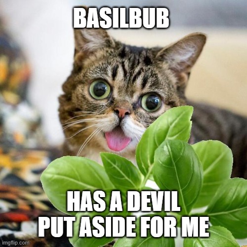 Basil Bub, Cat, Lil Bub | BASILBUB; HAS A DEVIL PUT ASIDE FOR ME | image tagged in lil bub,funny cats | made w/ Imgflip meme maker