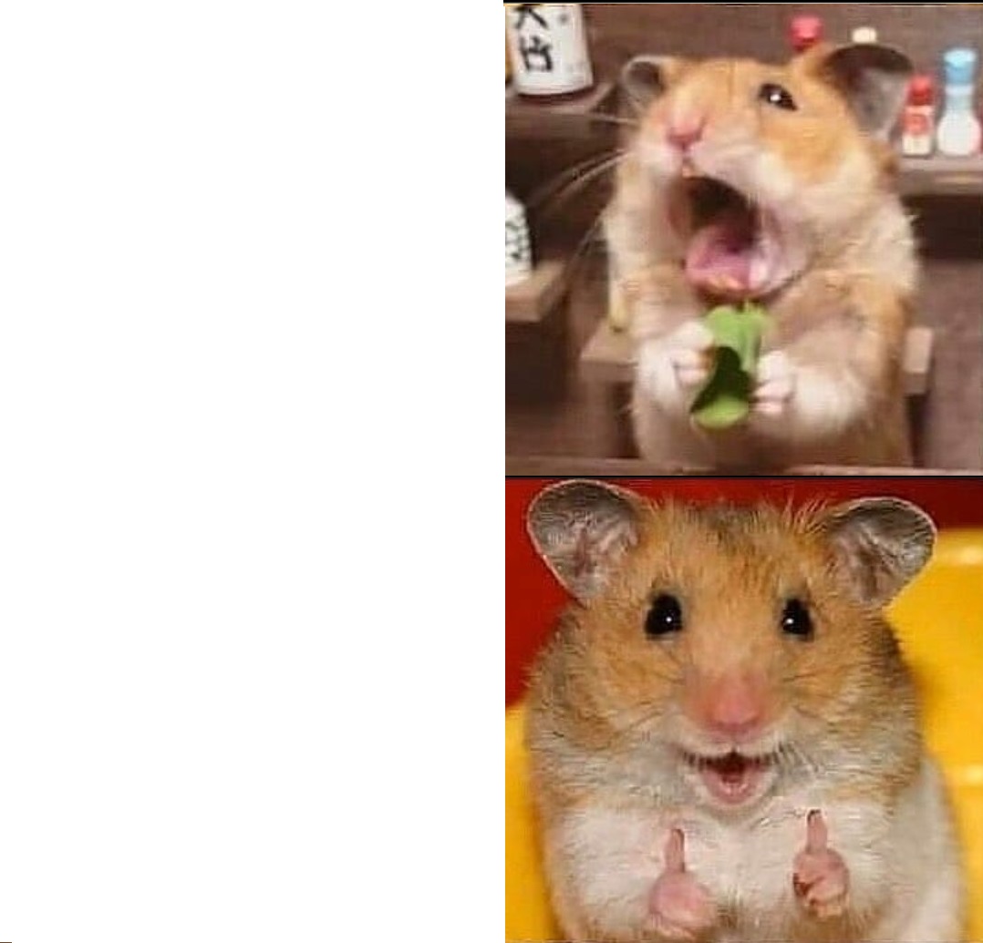 High Quality Hamster bad and good Blank Meme Template