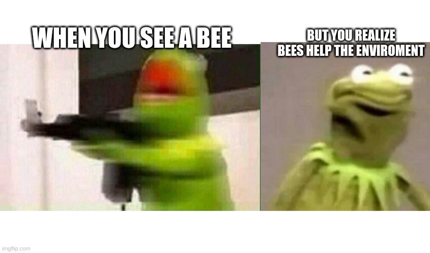 Bees are scary | BUT YOU REALIZE BEES HELP THE ENVIROMENT; WHEN YOU SEE A BEE | image tagged in kermit the frog,fun | made w/ Imgflip meme maker