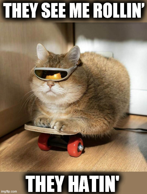 THEY SEE ME ROLLIN’; THEY HATIN' | image tagged in they see me rolling,cool cat | made w/ Imgflip meme maker