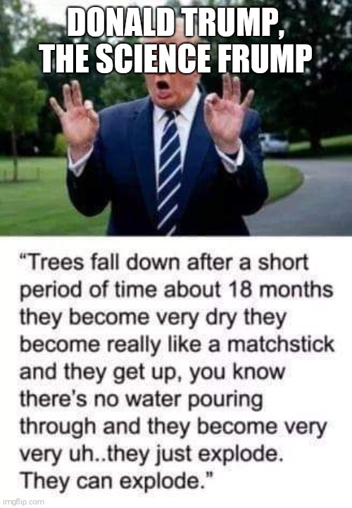 Moron | DONALD TRUMP, THE SCIENCE FRUMP | image tagged in donald trump | made w/ Imgflip meme maker