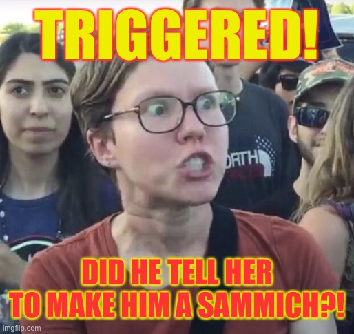 Triggered feminist | TRIGGERED! DID HE TELL HER TO MAKE HIM A SAMMICH?! | image tagged in triggered feminist | made w/ Imgflip meme maker