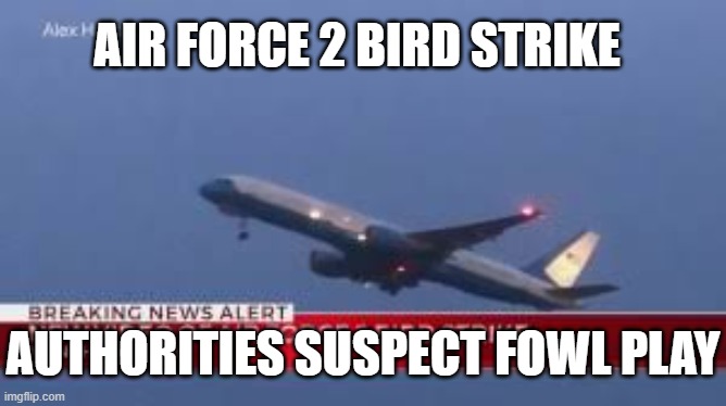 Air force 2 Bird Strike | AIR FORCE 2 BIRD STRIKE; AUTHORITIES SUSPECT FOWL PLAY | image tagged in air force 2,bird strike,mike pence,bird | made w/ Imgflip meme maker
