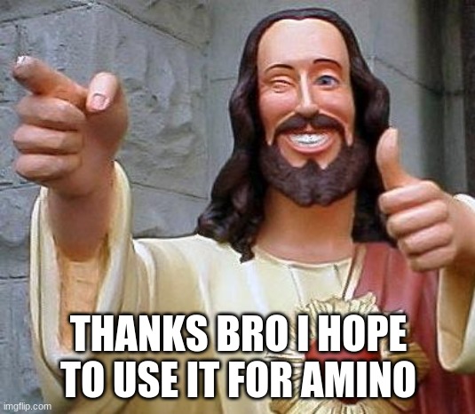 Jesus thanks you | THANKS BRO I HOPE TO USE IT FOR AMINO | image tagged in jesus thanks you | made w/ Imgflip meme maker