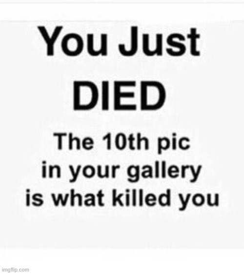 you just died, and your 10th pic in your gallery is what killed you | image tagged in blank white template | made w/ Imgflip meme maker